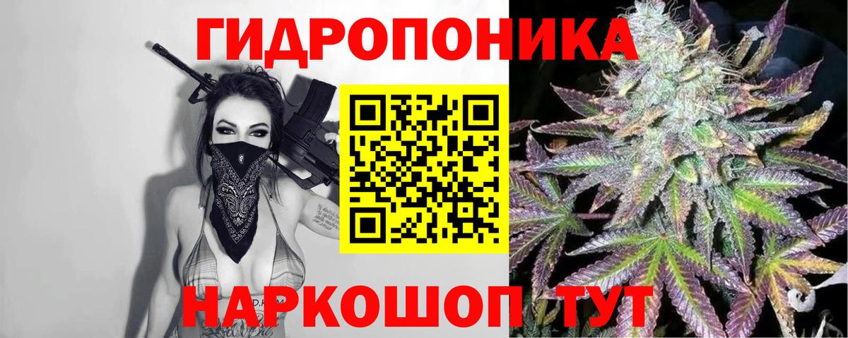 Бошки марихуана гибрид  Вход с VPN  Каннабис VHQ  Таганрог 